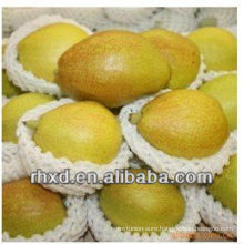 Korla Fragrant Pear